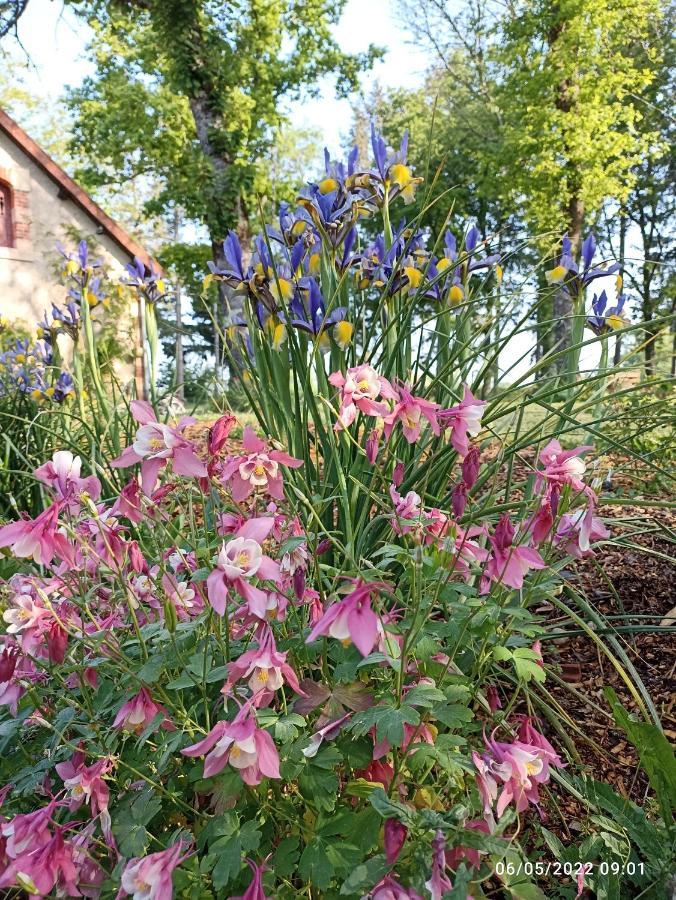The Cosy Retreat Villa Mornay-sur-Allier Exterior foto